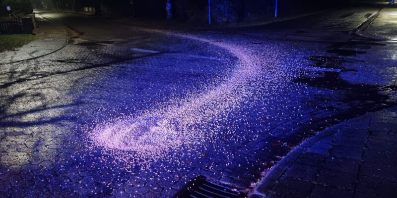 Maiskörner auf der Fahrbahn
